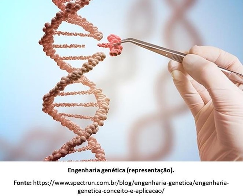 Engenharia Genética